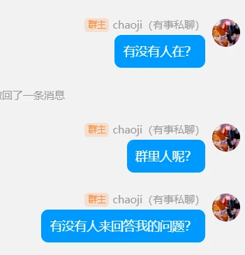 错误提问示例